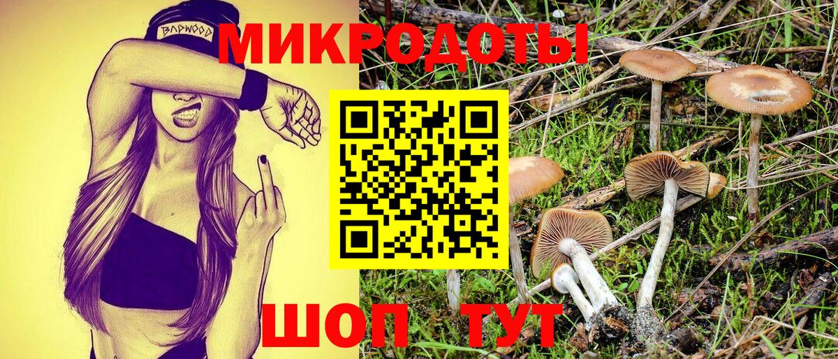 купить закладку  Псилоцибиновые грибы GOLDEN TEACHER  Волхов  Вход с VPN  Псилоцибиновые грибы Psilocybine cubensis 