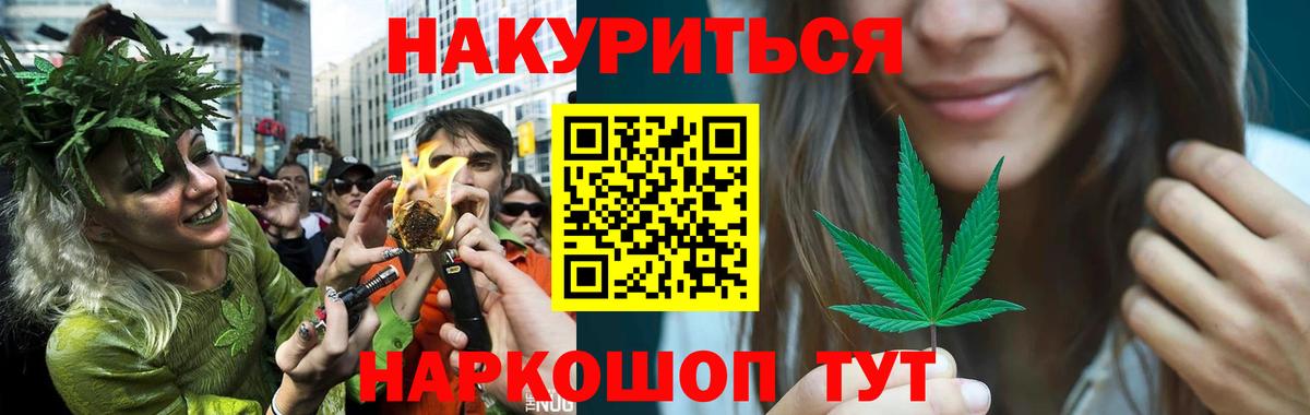 МАРИХУАНА план Волхов